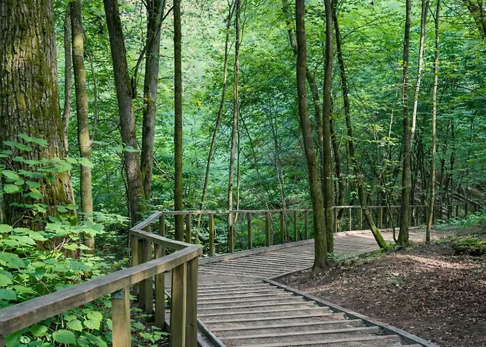 Апартаменты Klevu 41 Townhouse, Noreikiskes *